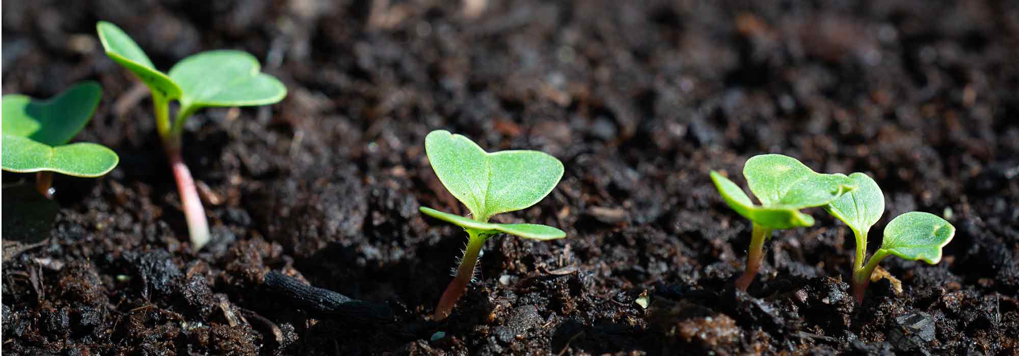 Come realizzare un letto caldo?