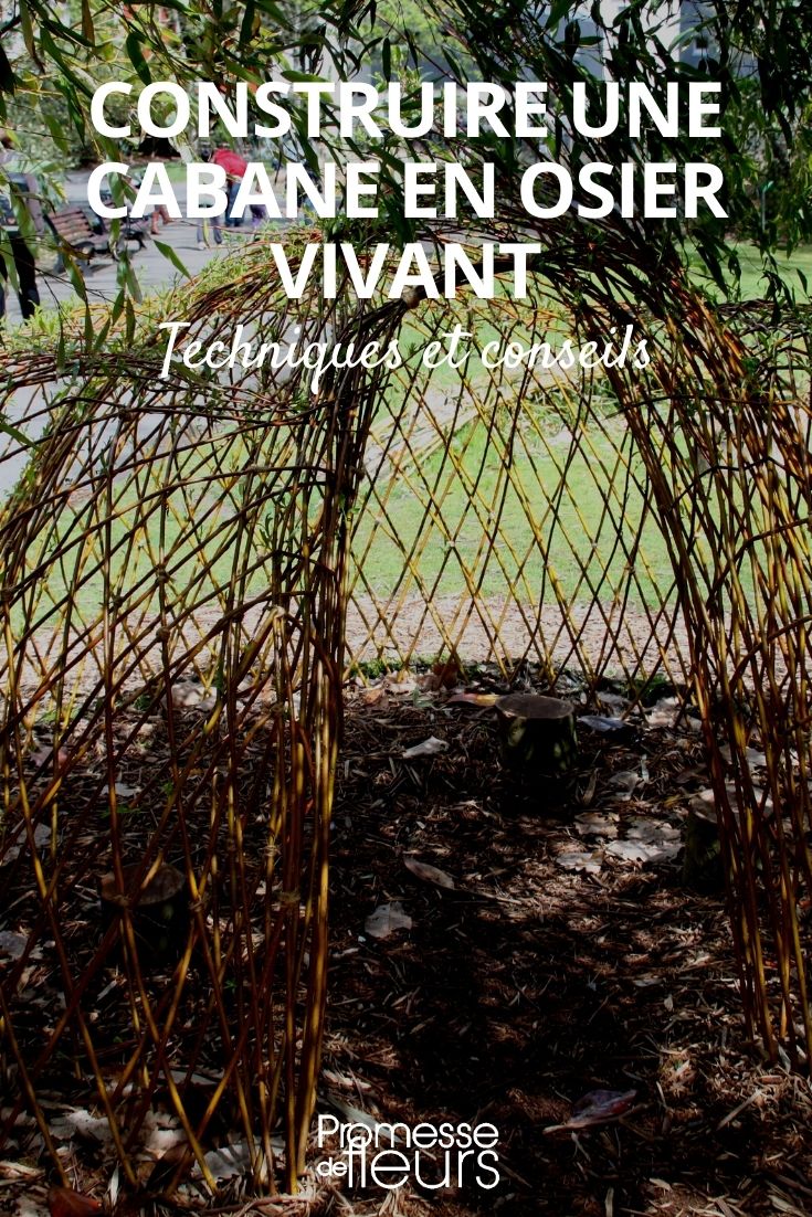 costruire una capanna in salice vivo