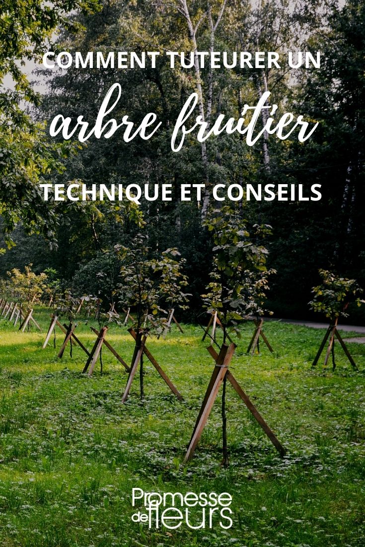 sostenere un albero da frutto
