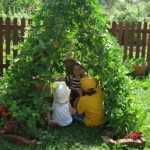 Tipi di fagioli rampicanti: un'attività di giardinaggio facile con i bambini