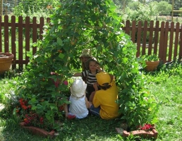 Tipi di fagioli rampicanti: un'attività di giardinaggio facile con i bambini