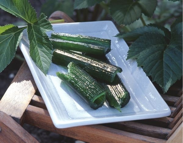 Fare l'angelica candita