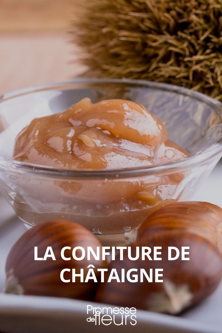 marmellata di castagne