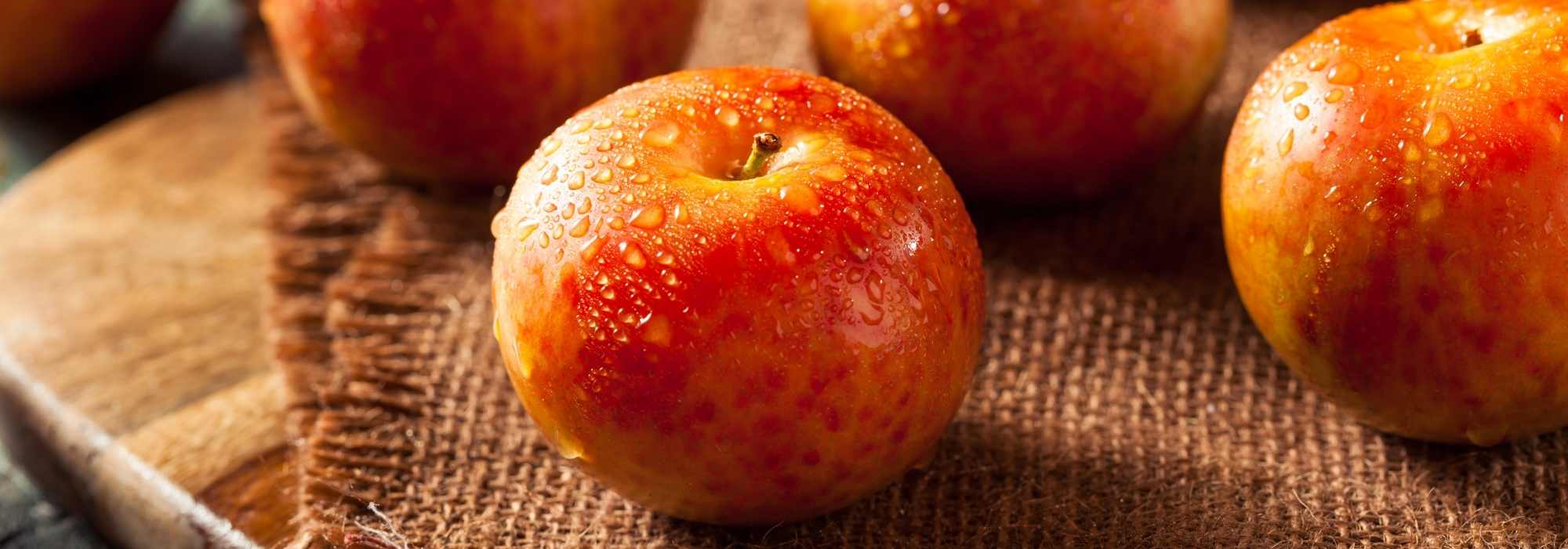 Pluot: piantagione, coltivazione, raccolta