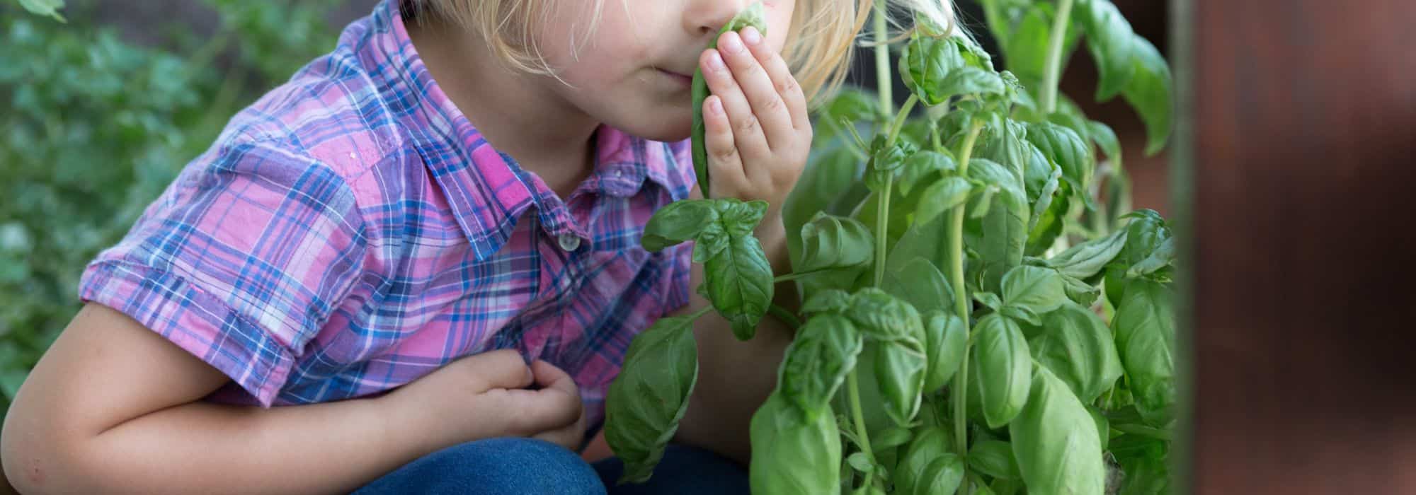 7 idee creative per avvicinare i bambini al giardinaggio anche senza giardino