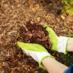Giardinaggio per principianti: pacciamare il giardino in 5 semplici passi