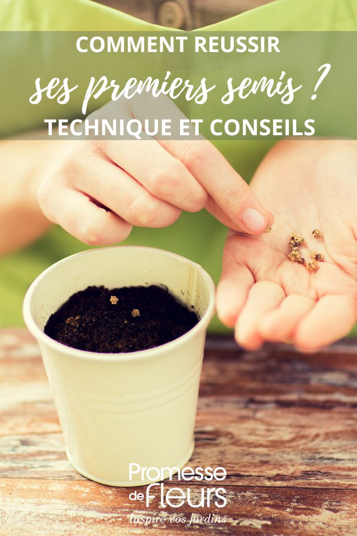 riuscire con le semine