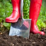 Giardinaggio per principianti: la vangatura, cos'è? Come si fa?