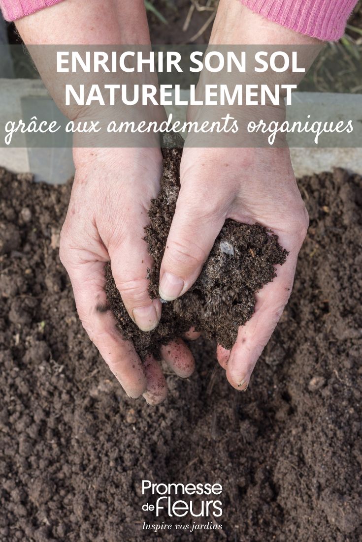 letame, terriccio di foglie, compost, tutto per arricchire il terreno