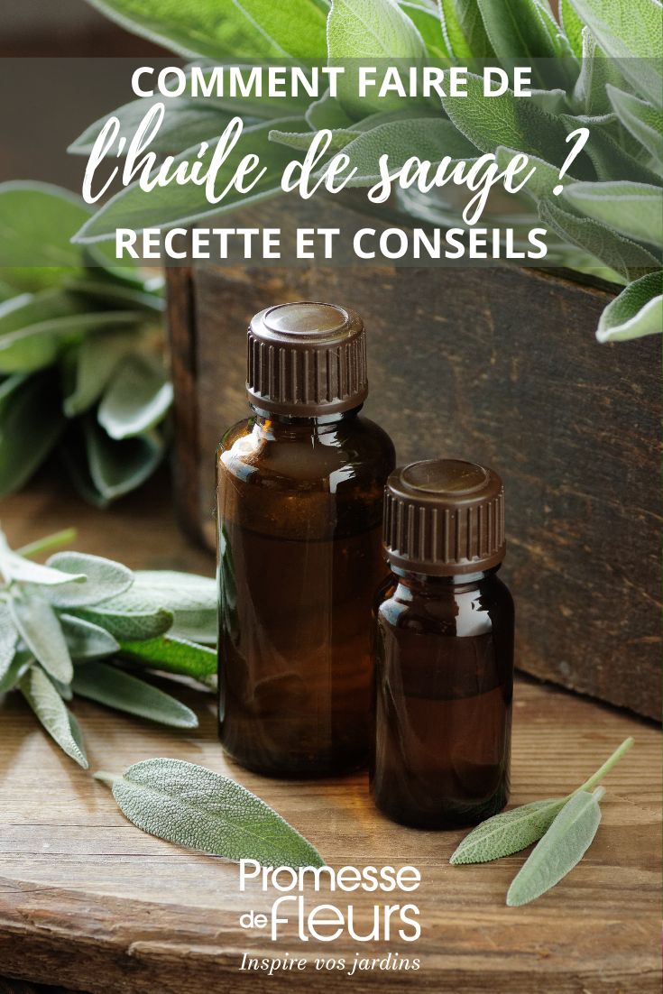 olio di salvia