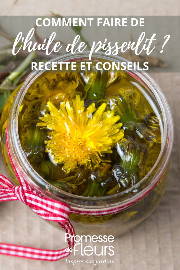tutorial sull'olio di tarassaco