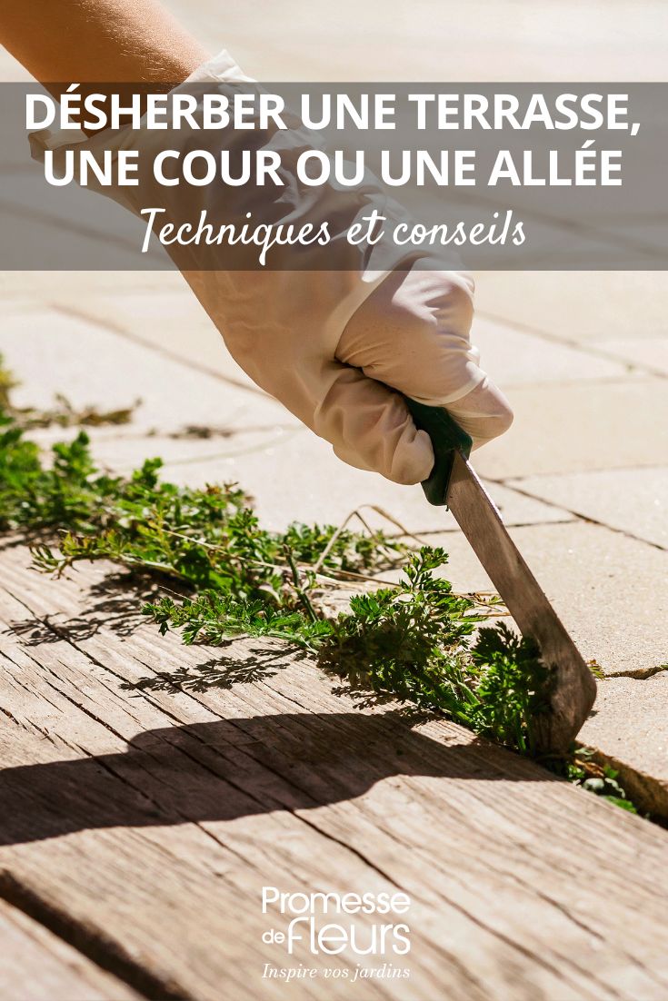 strappare l'erba da vialetti, terrazze e pavimentazioni