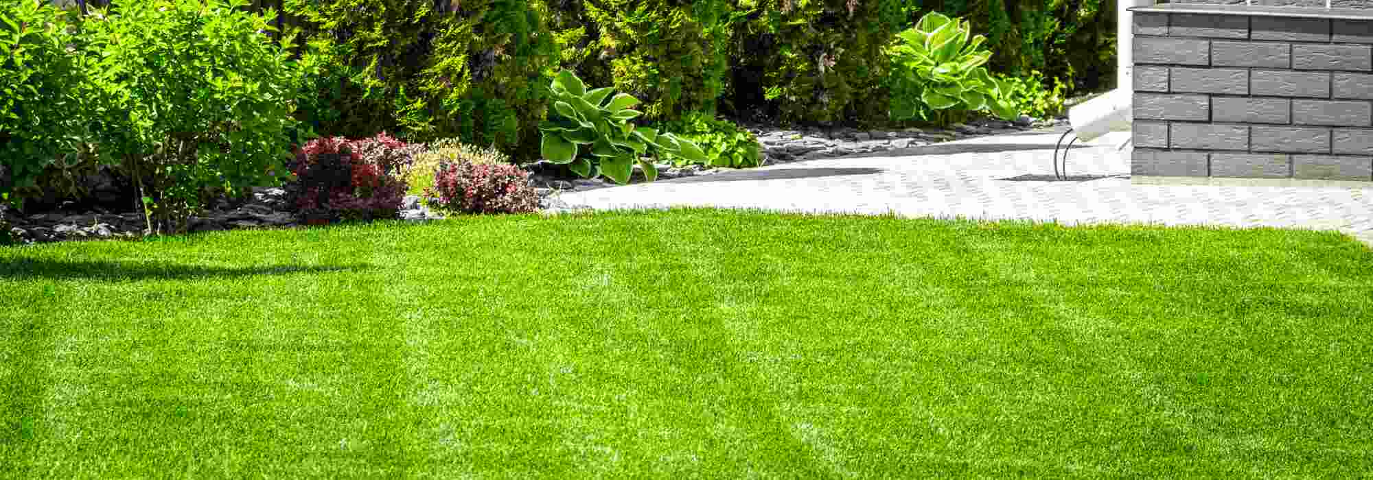 Come curare il prato in primavera?