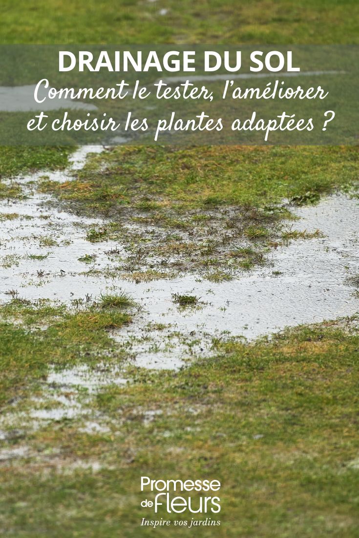 migliorare il drenaggio dell'acqua del terreno