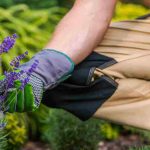 Non ho il pollice verde: perché?