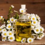 Come fare l'olio di camomilla: il nostro tutorial