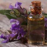 Come fare l'olio di salvia fatto in casa: il nostro tutorial