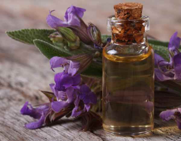 Come fare l'olio di salvia fatto in casa: il nostro tutorial