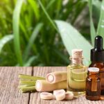 Come preparare l'olio di Verbena limonina fatto in casa?