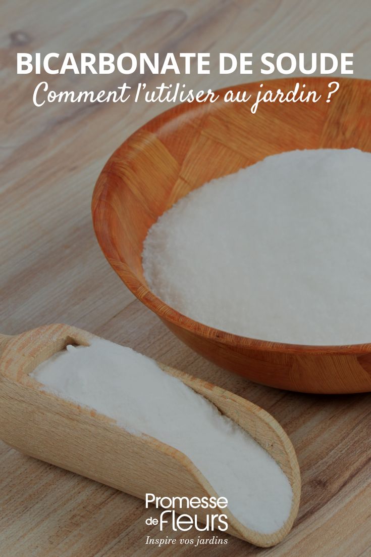 uso del bicarbonato in giardino