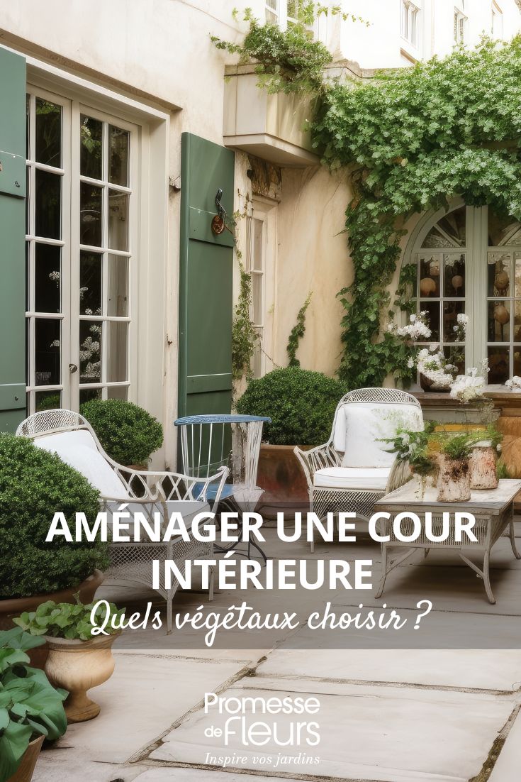 cosa piantare in un cortile?