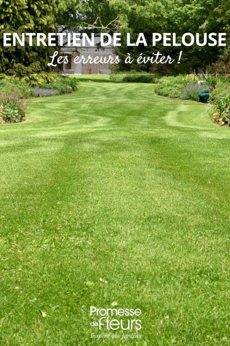 prato: gli errori da evitare per un bel prato