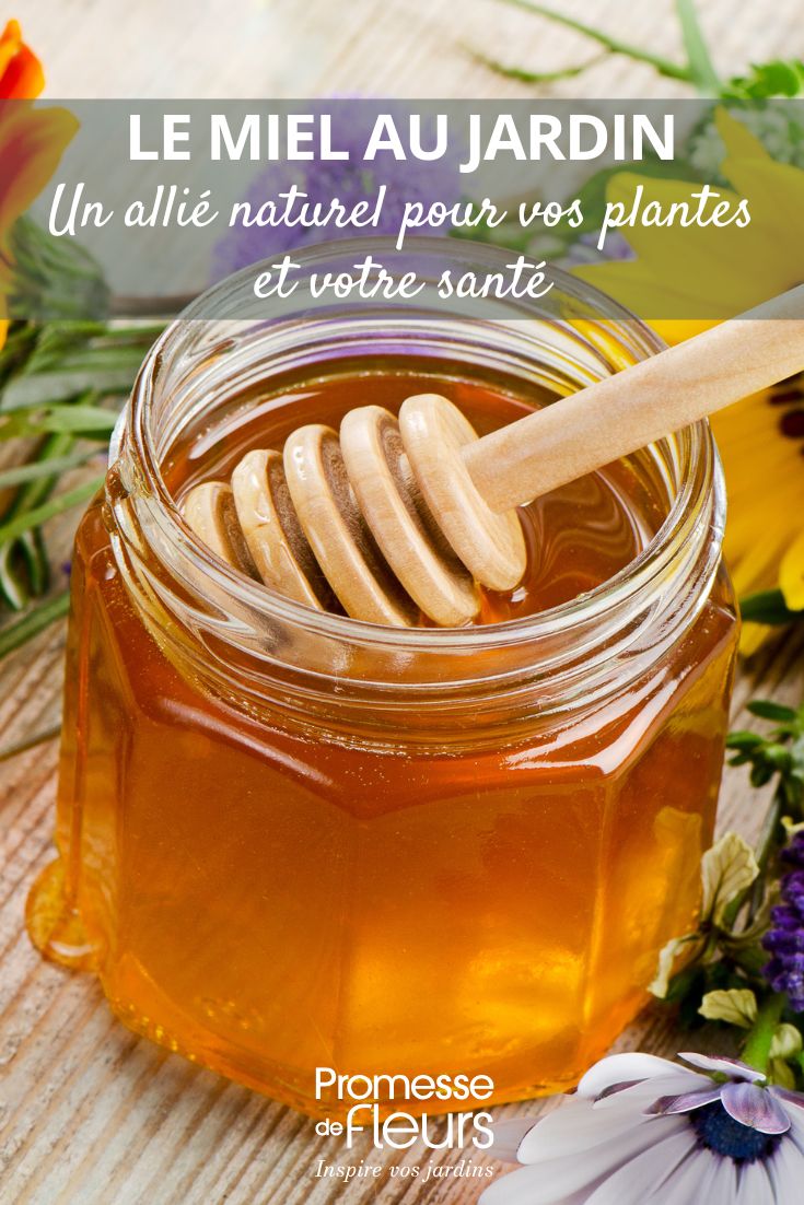 l'uso del miele in giardino