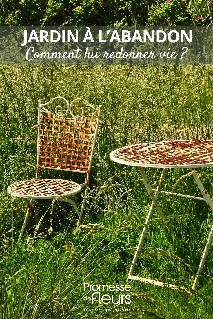 giardino abbandonato