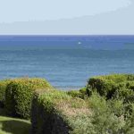 I migliori arbusti per climi marini e litorali