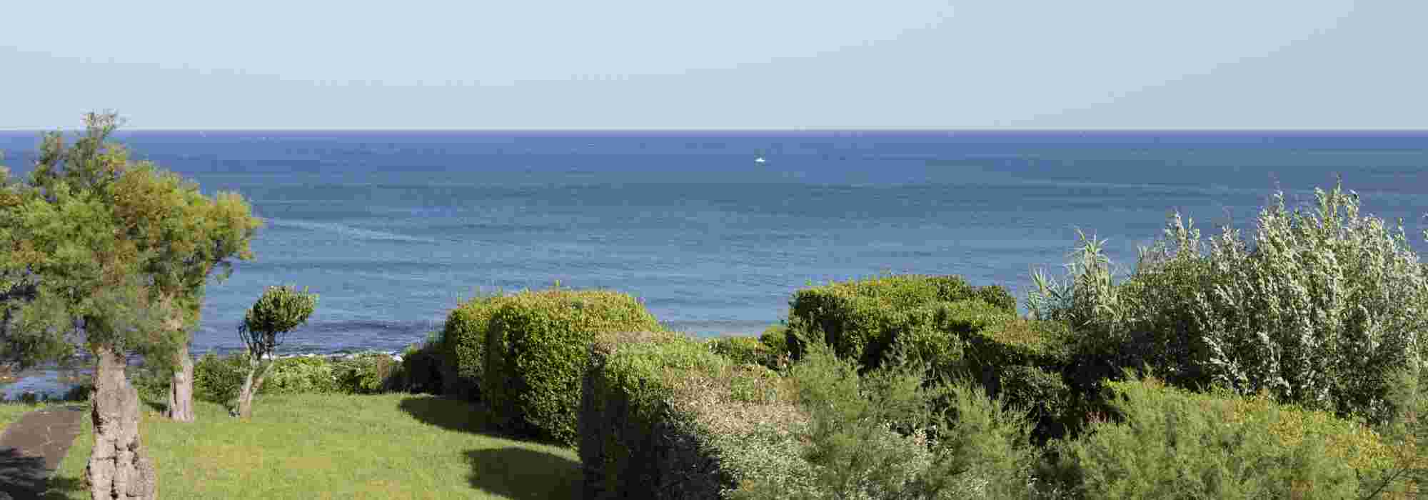 I migliori arbusti per climi marini e litorali