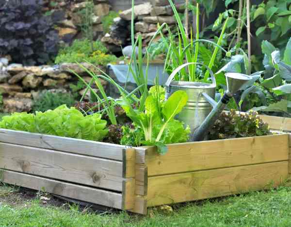 Come realizzare un orto a quadri?