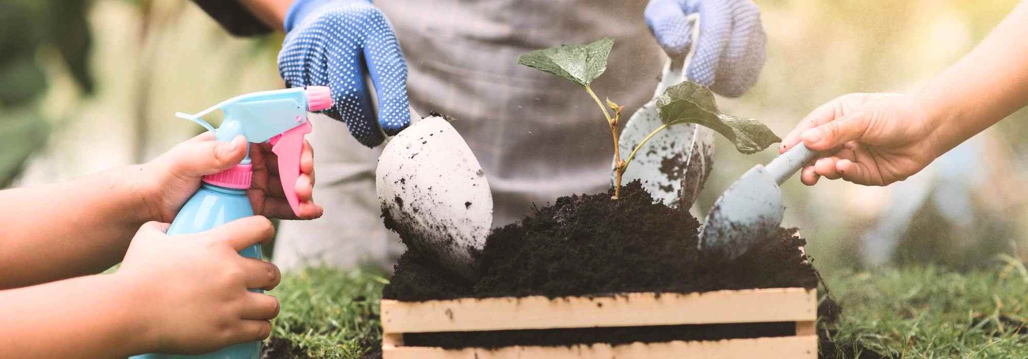 Creare un orto con i bambini per rafforzare il legame e imparare divertendosi!