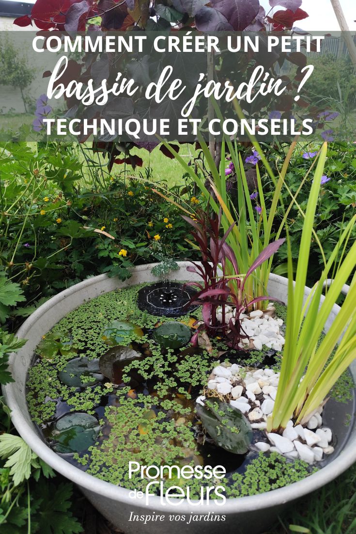 Un piccolo laghetto da giardino fuori terra