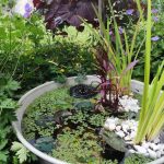 Come creare un piccolo stagno da giardino?