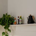 Piante da interno per la cucina: le nostre varietà ideali e i nostri consigli per decorare questo spazio