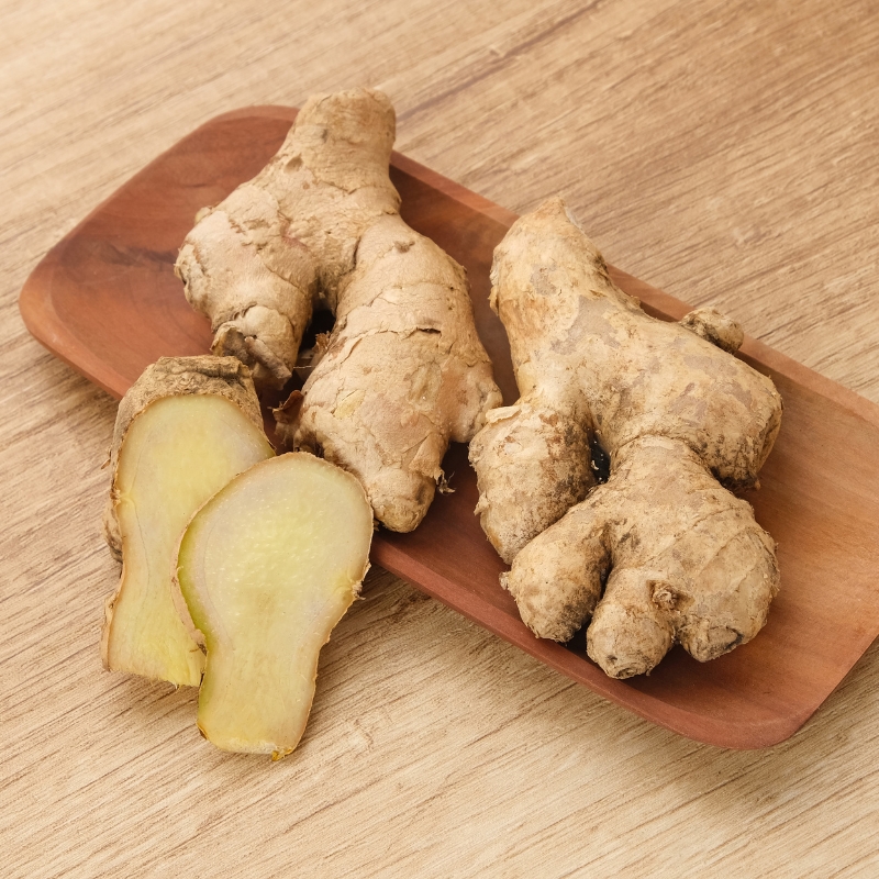 Zenzero - Zingiber