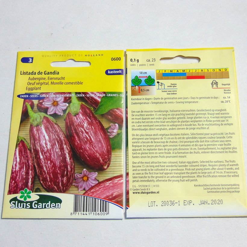 Esempio di esemplare Melanzana Listada de Gandia sacchetto di 200 semi circa (1g) come consegnato
