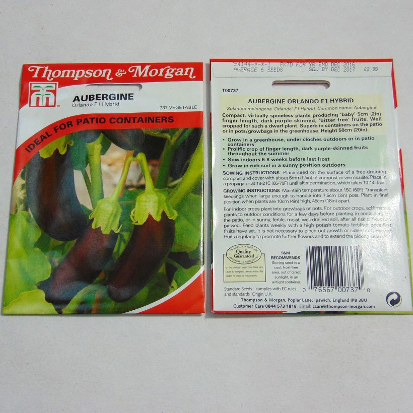 Esempio di esemplare Melanzana Orlando sacchetto di 6 semi circa come consegnato