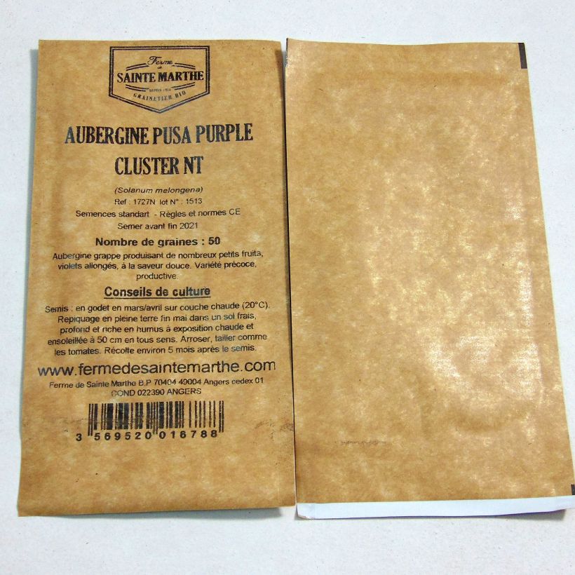 Esempio di esemplare Melanzana Pusa Purple Cluster sacchetto di 50 semi circa come consegnato