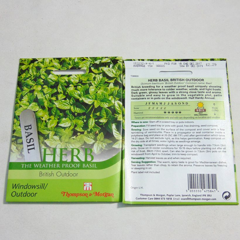 Esempio di esemplare Basilico British Outdoor sacchetto di 100 semi circa come consegnato