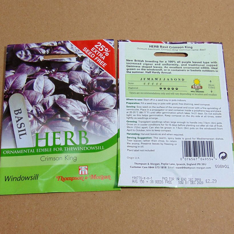 Esempio di esemplare Basilico Crimson King sacchetto di 150 semi circa come consegnato