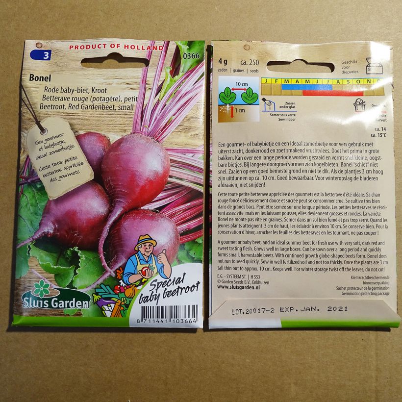Esempio di esemplare Barbabietola rossa Bonel sacchetto di 250 semi circa (4g) come consegnato
