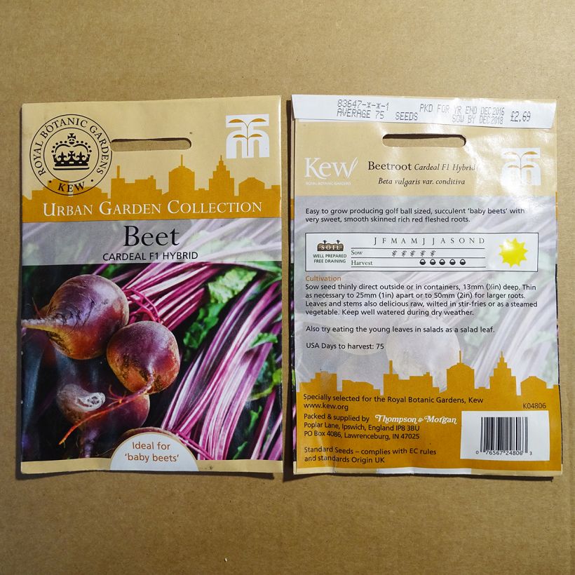 Esempio di esemplare Barbabietola rossa Cardeal F1 sacchetto di 75 semi circa come consegnato