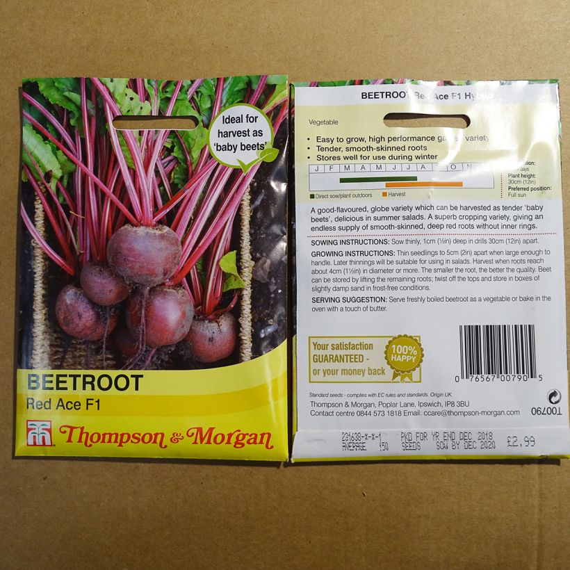 Esempio di esemplare Barbabietola rossa Red Ace F1 sacchetto di 150 semi circa come consegnato