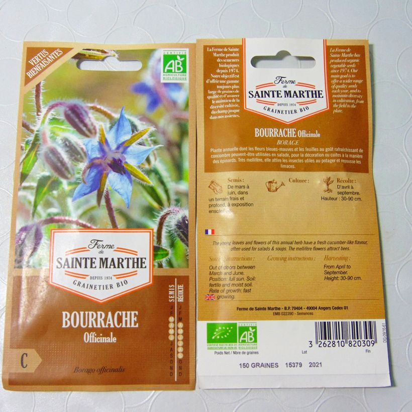 Example of Borago officinalis sacchetto di 90 semi circa (2g) as you get