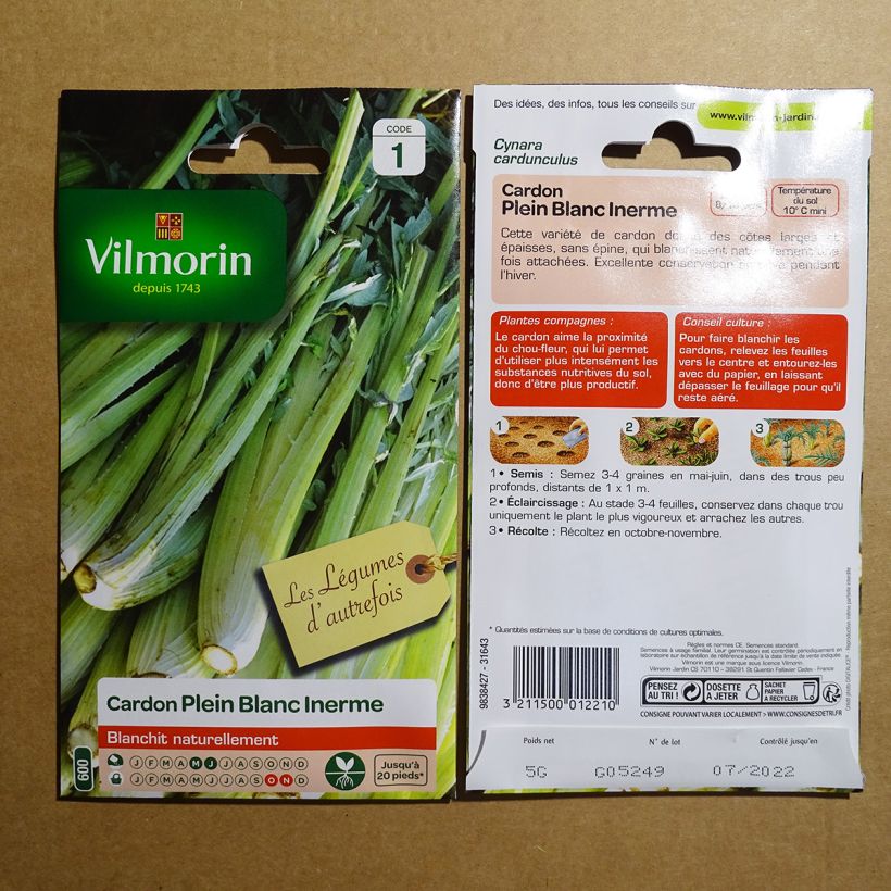 Example of Cynara cardunculus - Vilmorin - Cardo sacchetto di 125 semi circa (5g) as you get