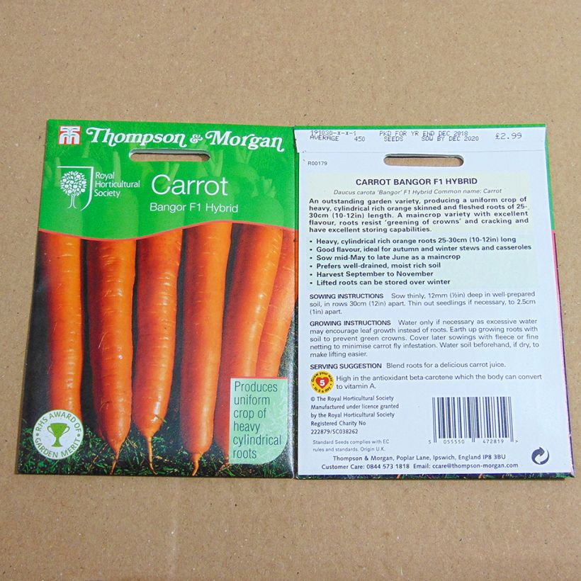 Esempio di esemplare Carota Bangor 2 (semi) sacchetto di 450 semi circa come consegnato