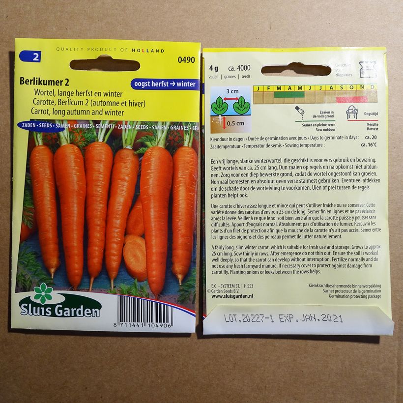 Example of Carota Berlicum 2 sacchetto di 3600 semi circa (5g) as you get