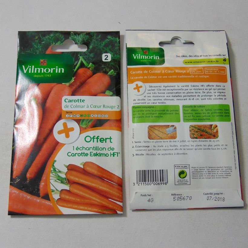 Example of Carota Colmar a cuore rosso 2 sacchetto di 2000 semi circa (4g) as you get
