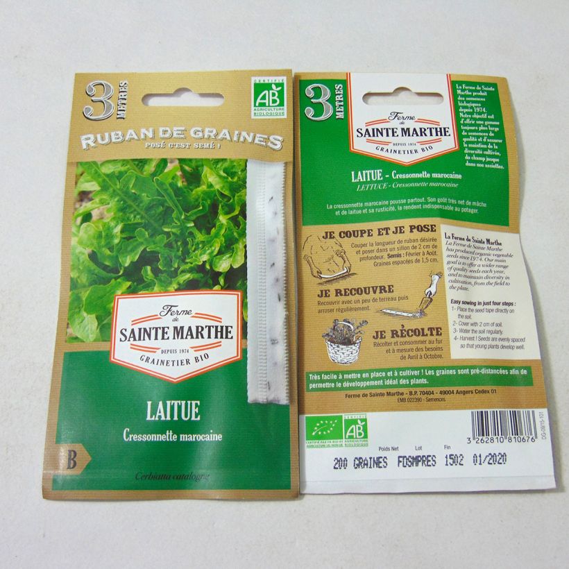 Example of Lattuga Radichetta (Semi a nastro) Semi su nastro as you get